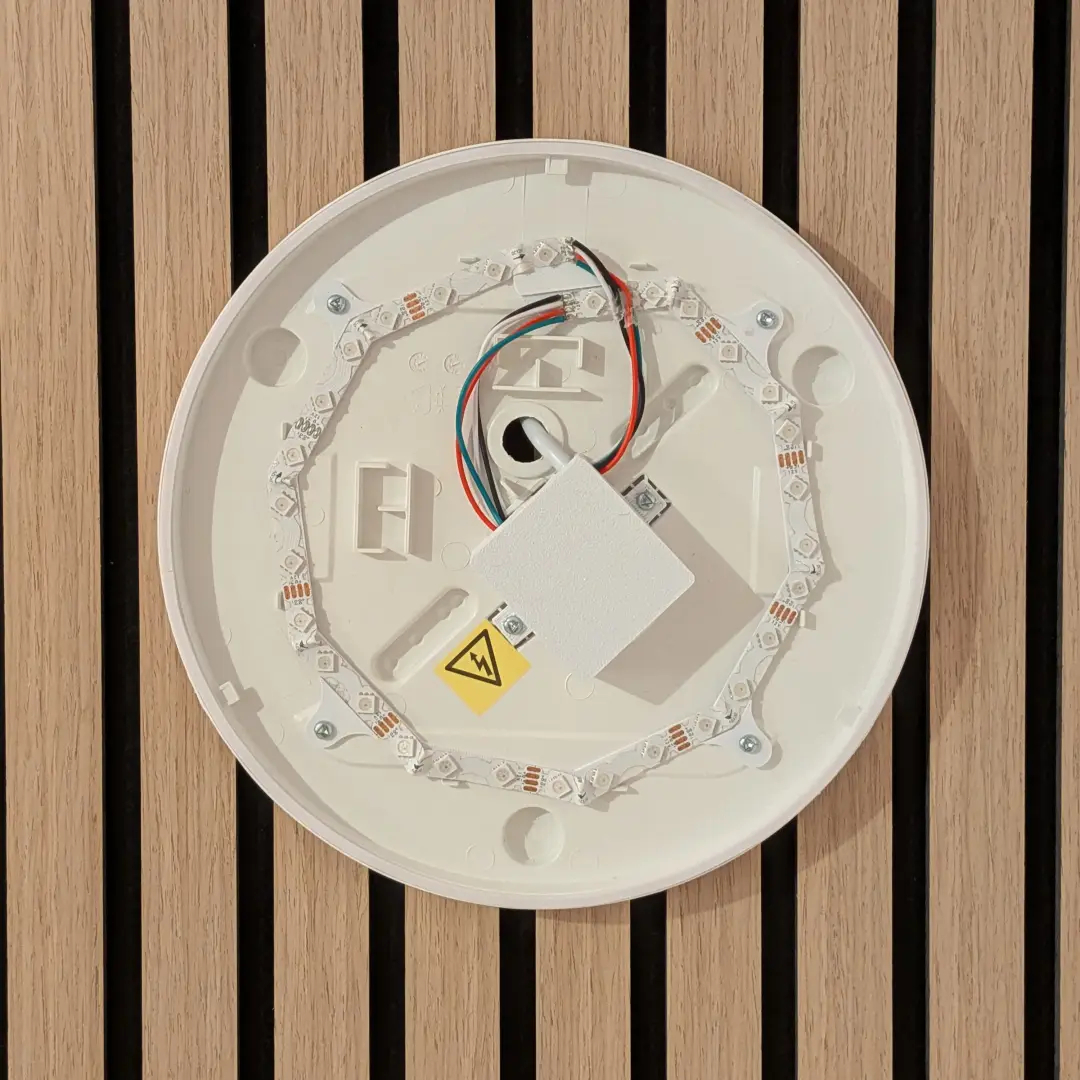 Light with LED strip and wiring box